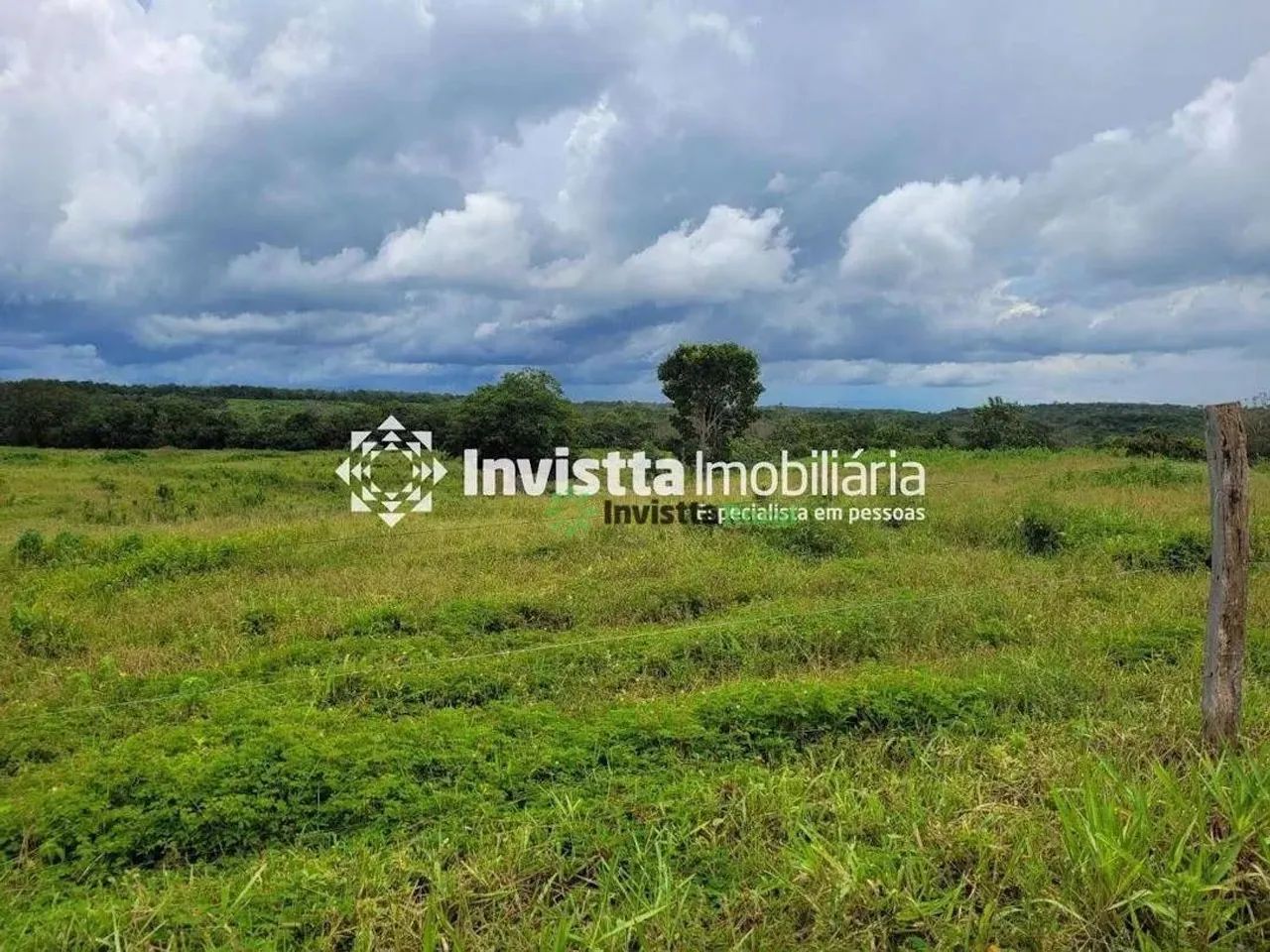 Fazenda de 532 alqueires com dupla aptidão na região de Pedro Afonso - Foto 4