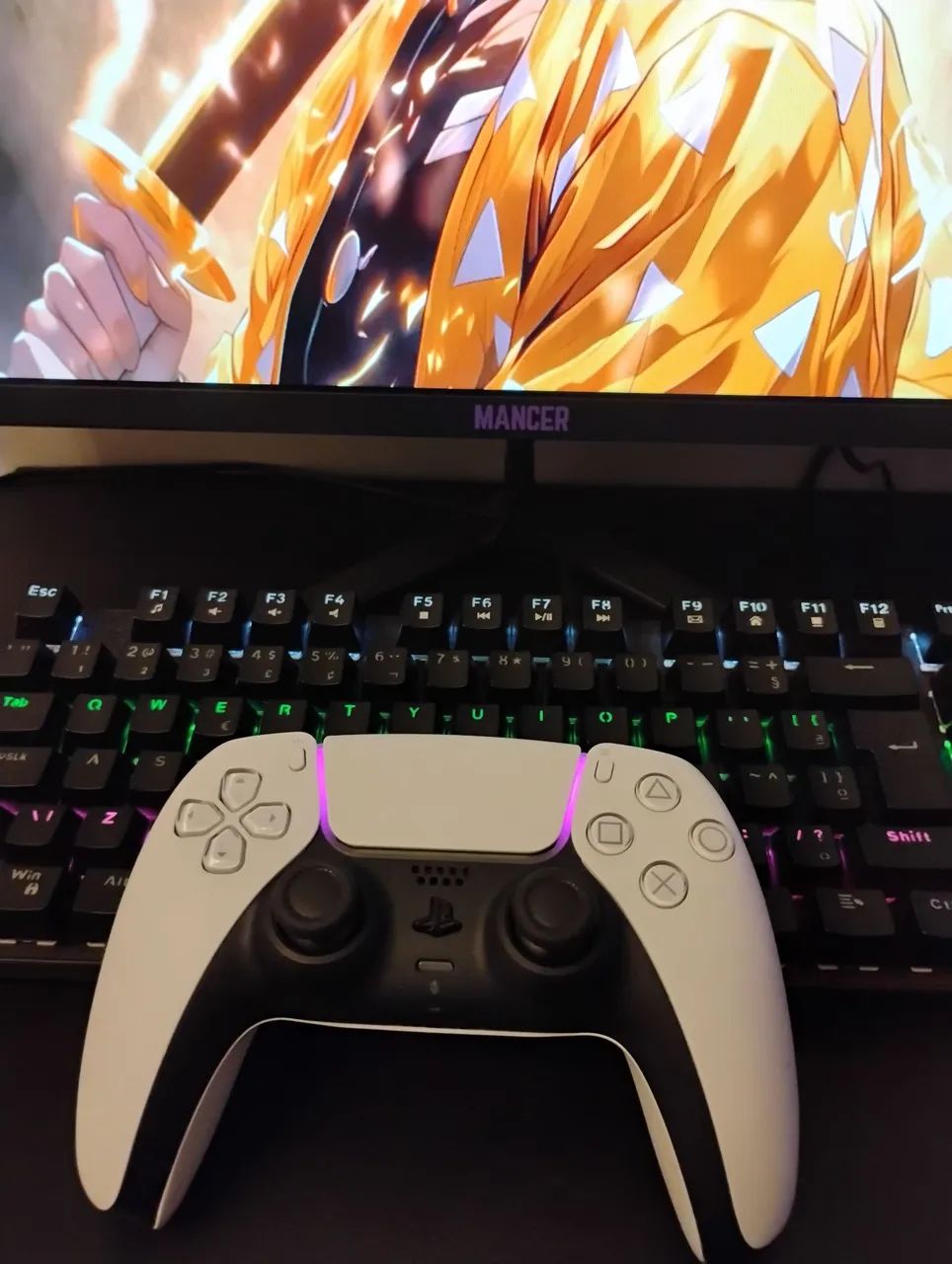 Controle PS5 novo