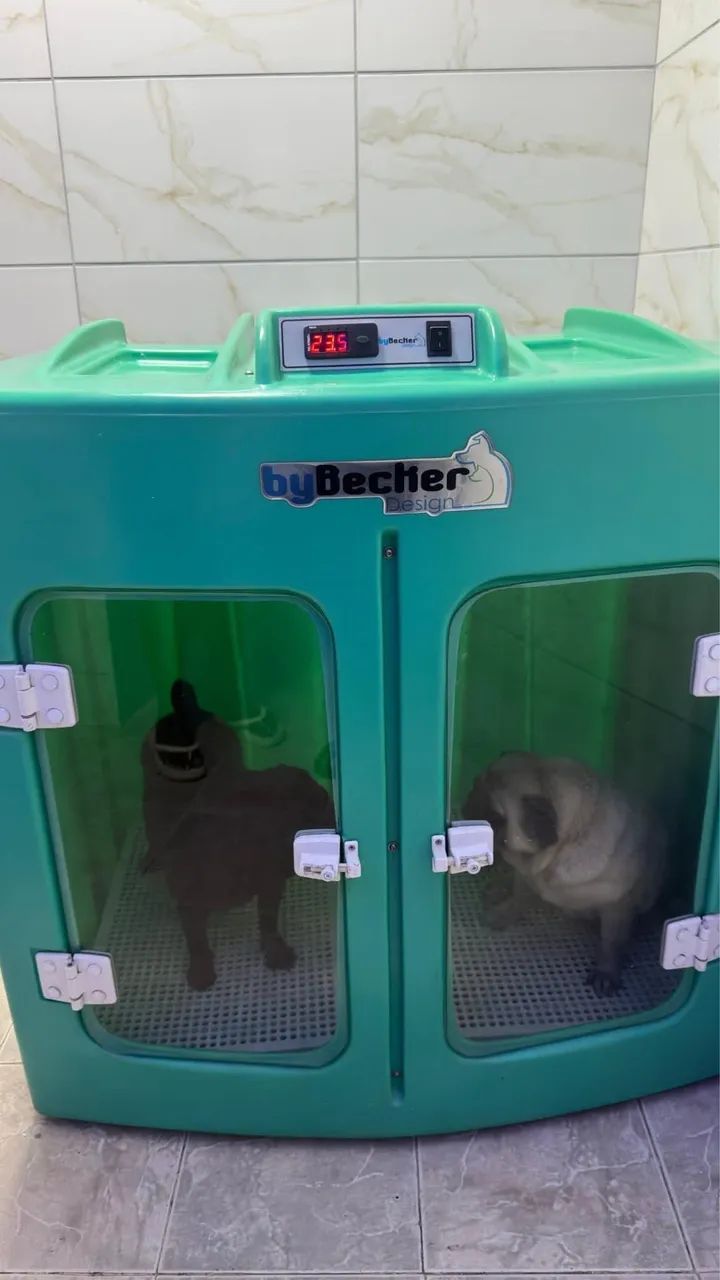 Maquina bybecker pet  - Foto 3
