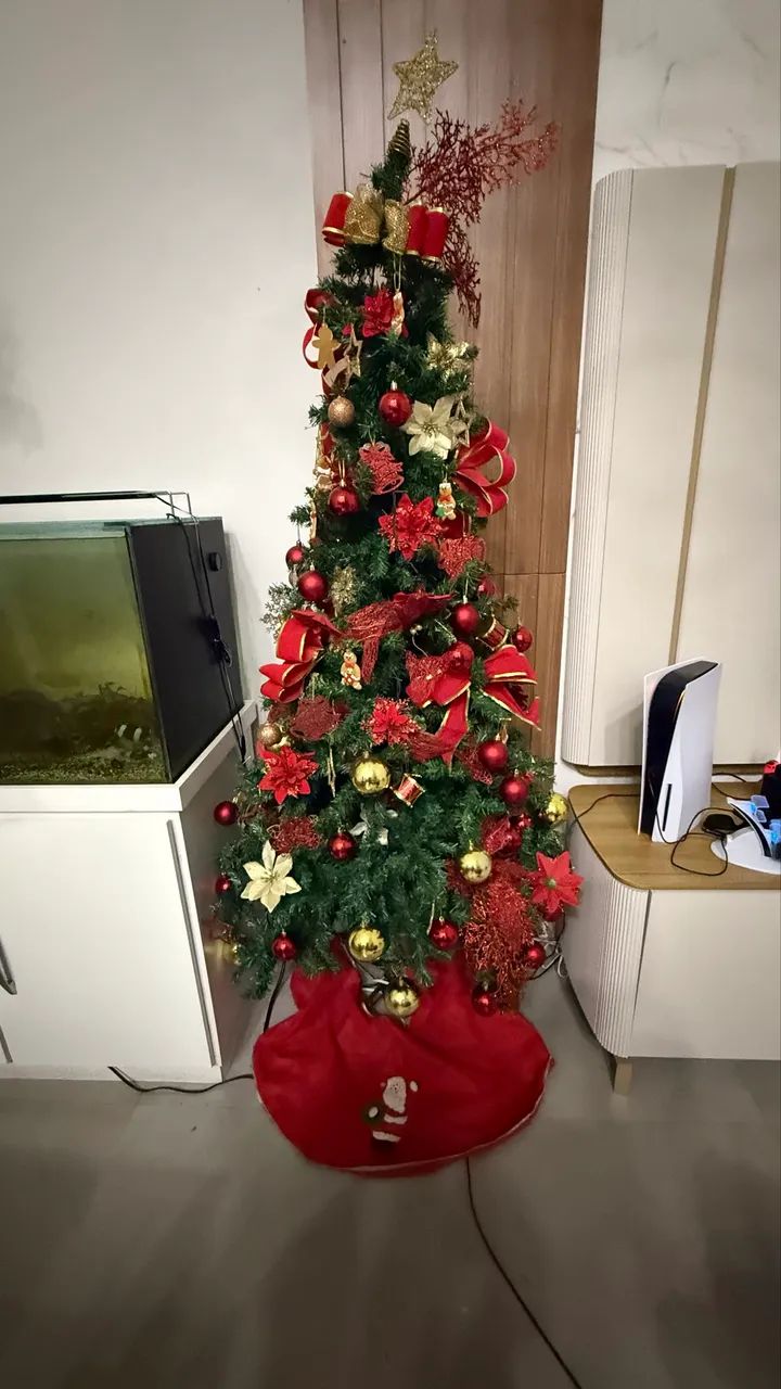 Decoração 