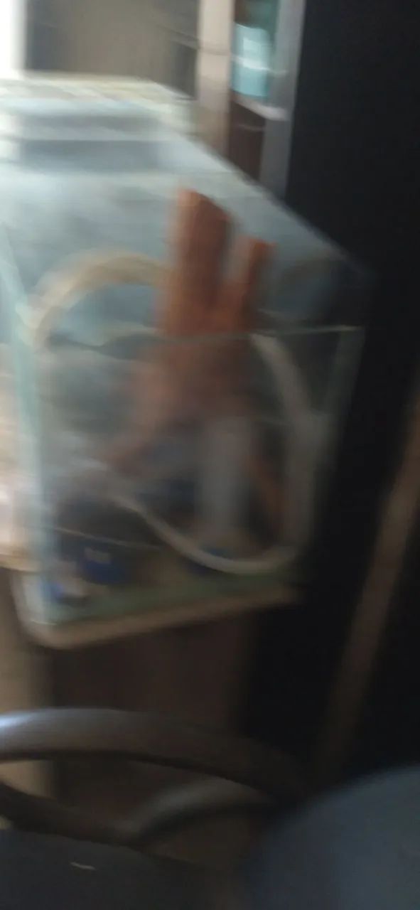 Aquário perfeito com acessórios  - Foto 2