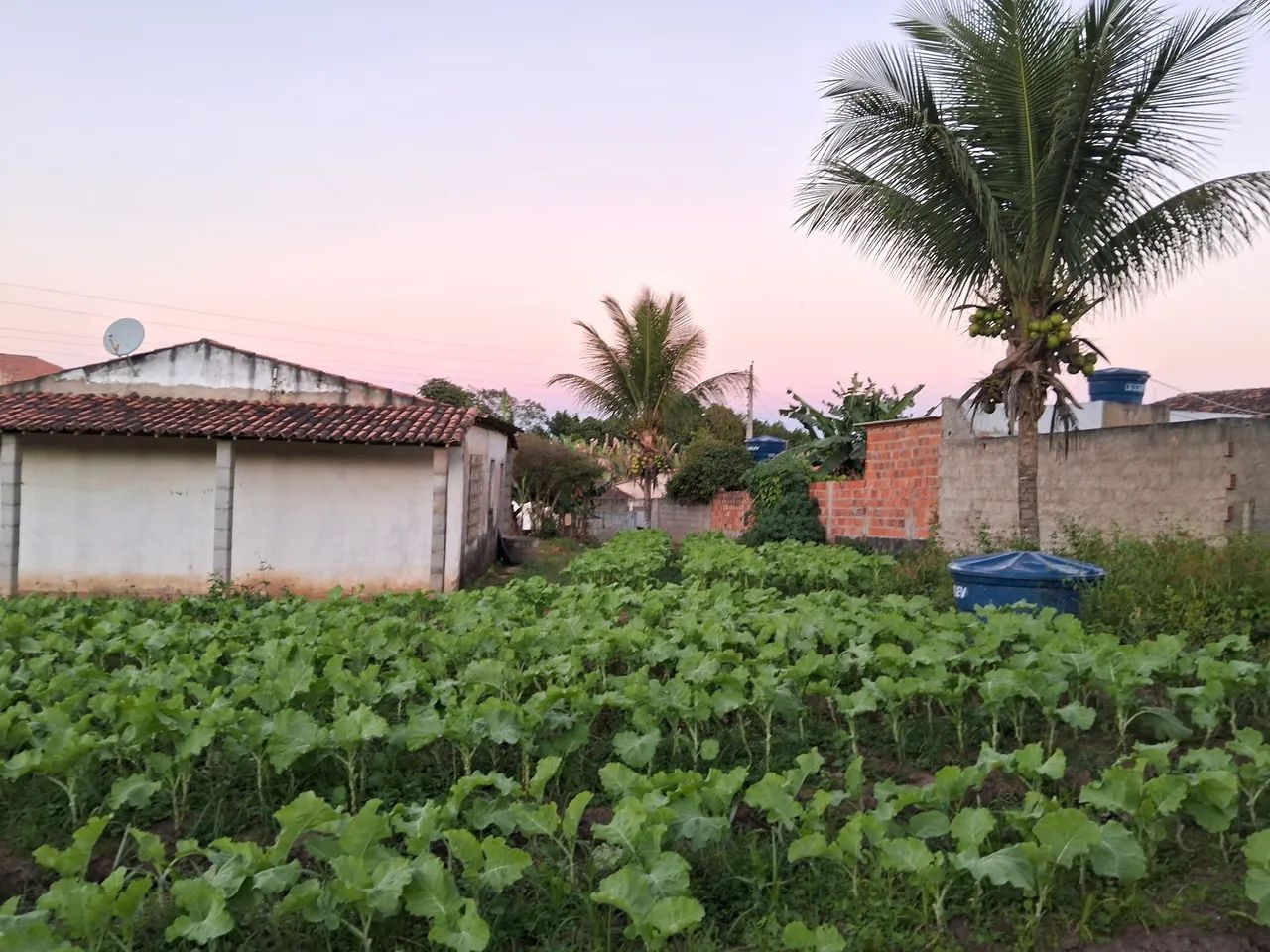Casa com Terreno - Zona Rural de Lagarto  - Foto 4