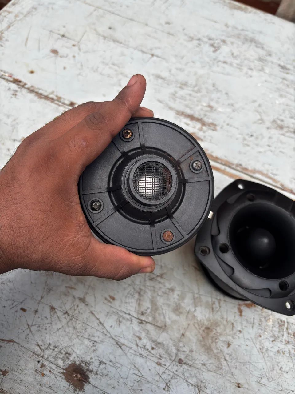 Twitter corneta - Foto 4