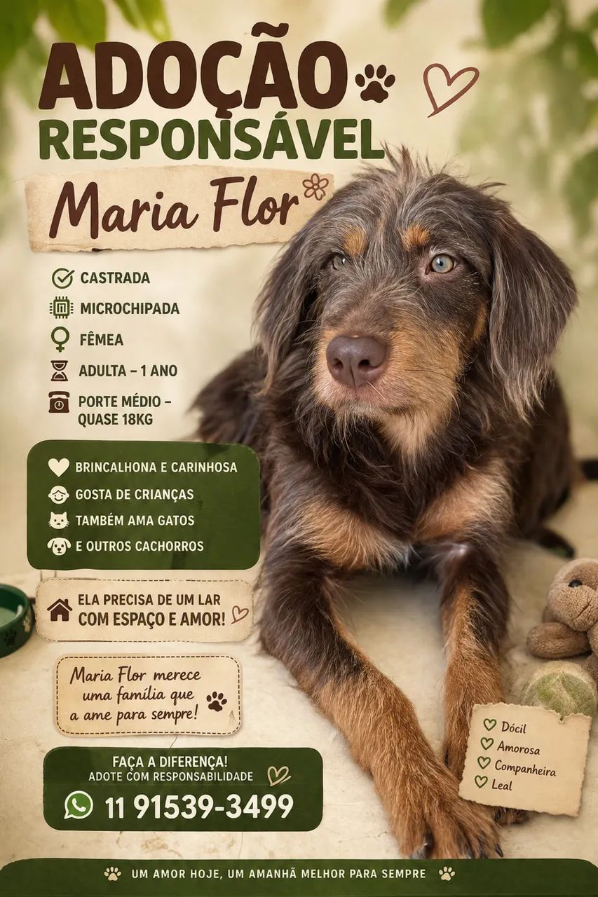 MARIA FLOR ADOÇÃO RESPONSÁVEL  - Foto 5