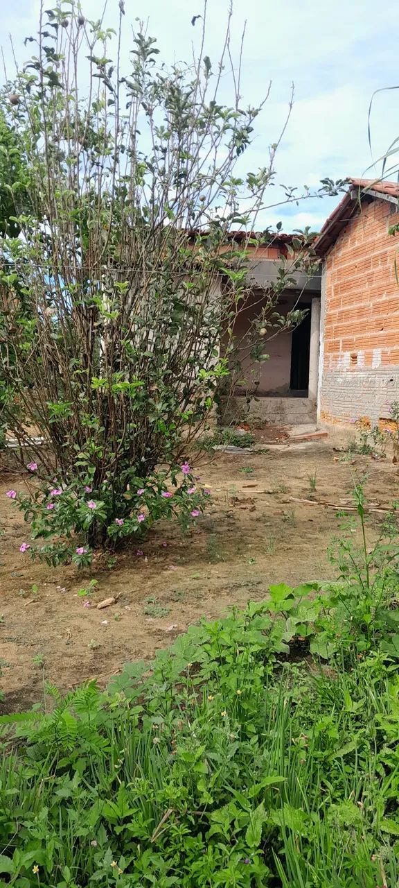 chacára - Foto 2