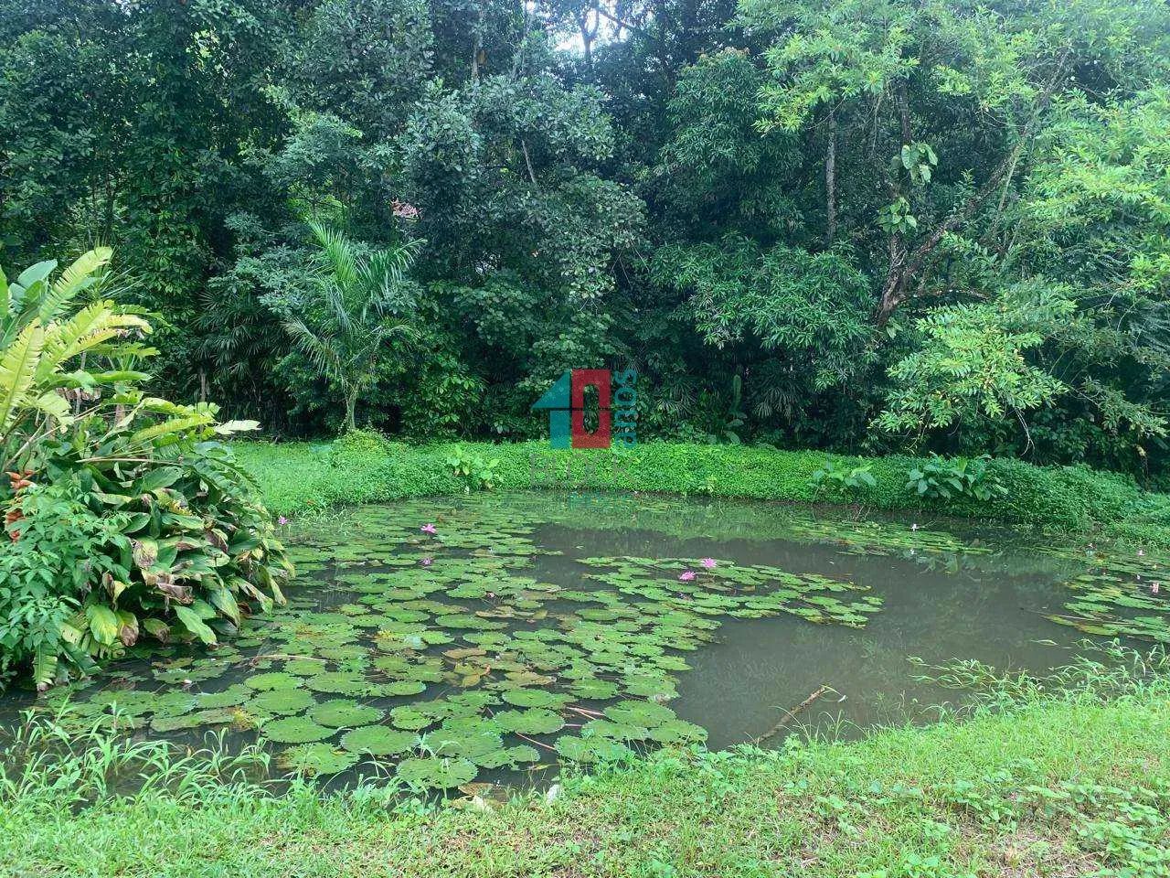 Vargem Grande | Terreno - Foto 4