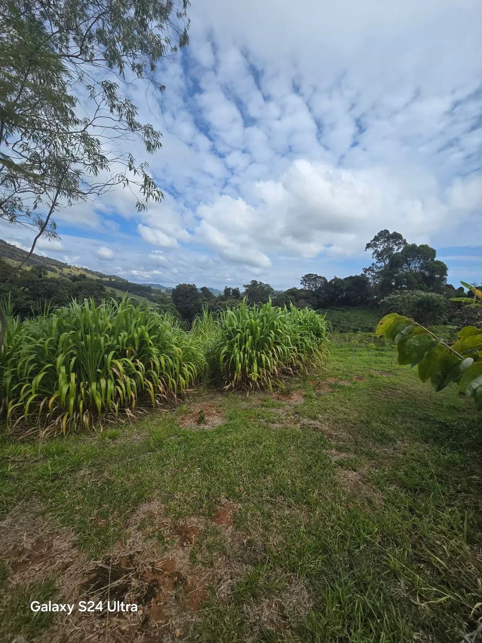 Terreno Baião 
