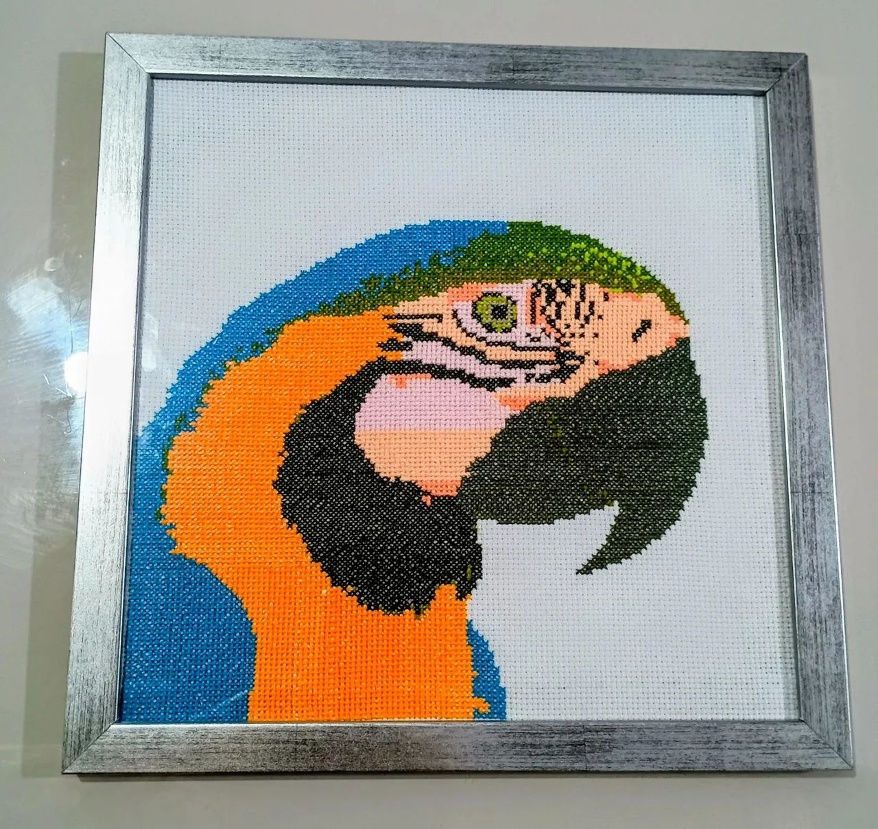 Quadro da Arara-Canindé 