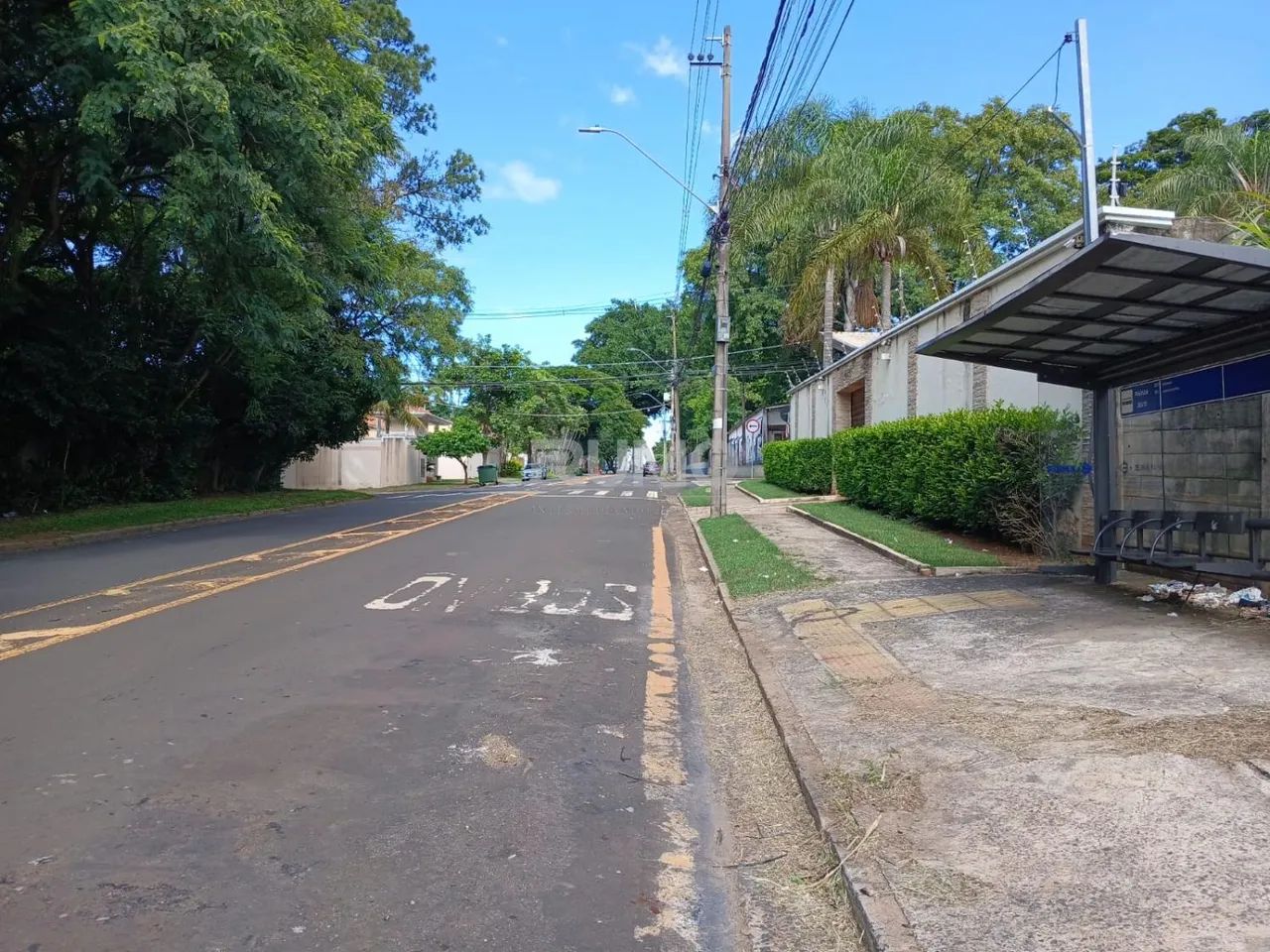 terreno - Parque Taquaral - Campinas - Foto 2