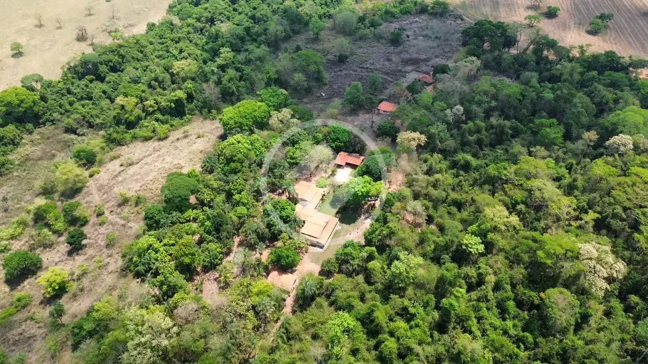 FAZENDA À VENDA  HIDROLÂNDIA/GO codigo: 384932 - Foto 2