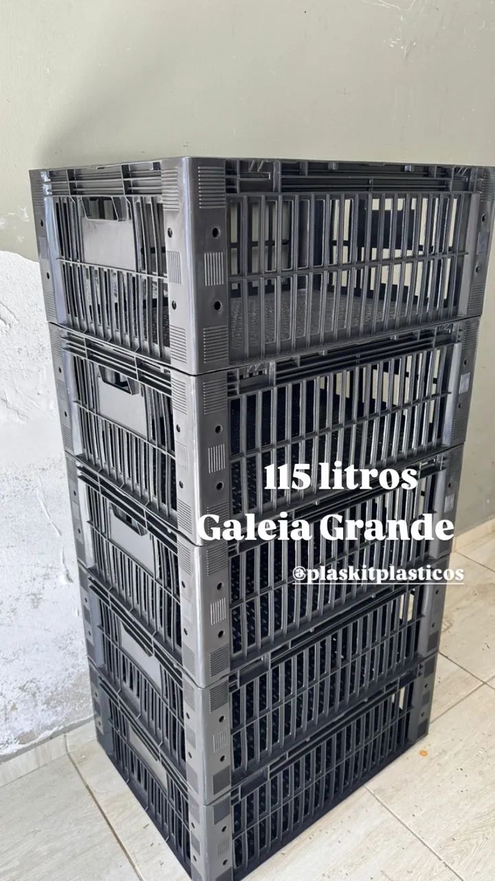 Galeia grande cada 95,00 - Foto 2