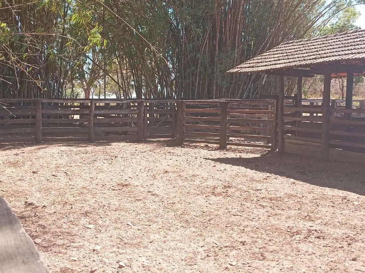 Imóvel rural, 668 m² no Zona Rural em Natividade - Foto 2