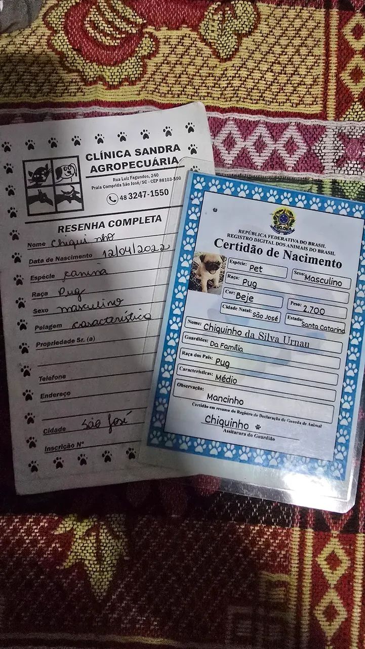 Vendendo o Dog - Foto 2