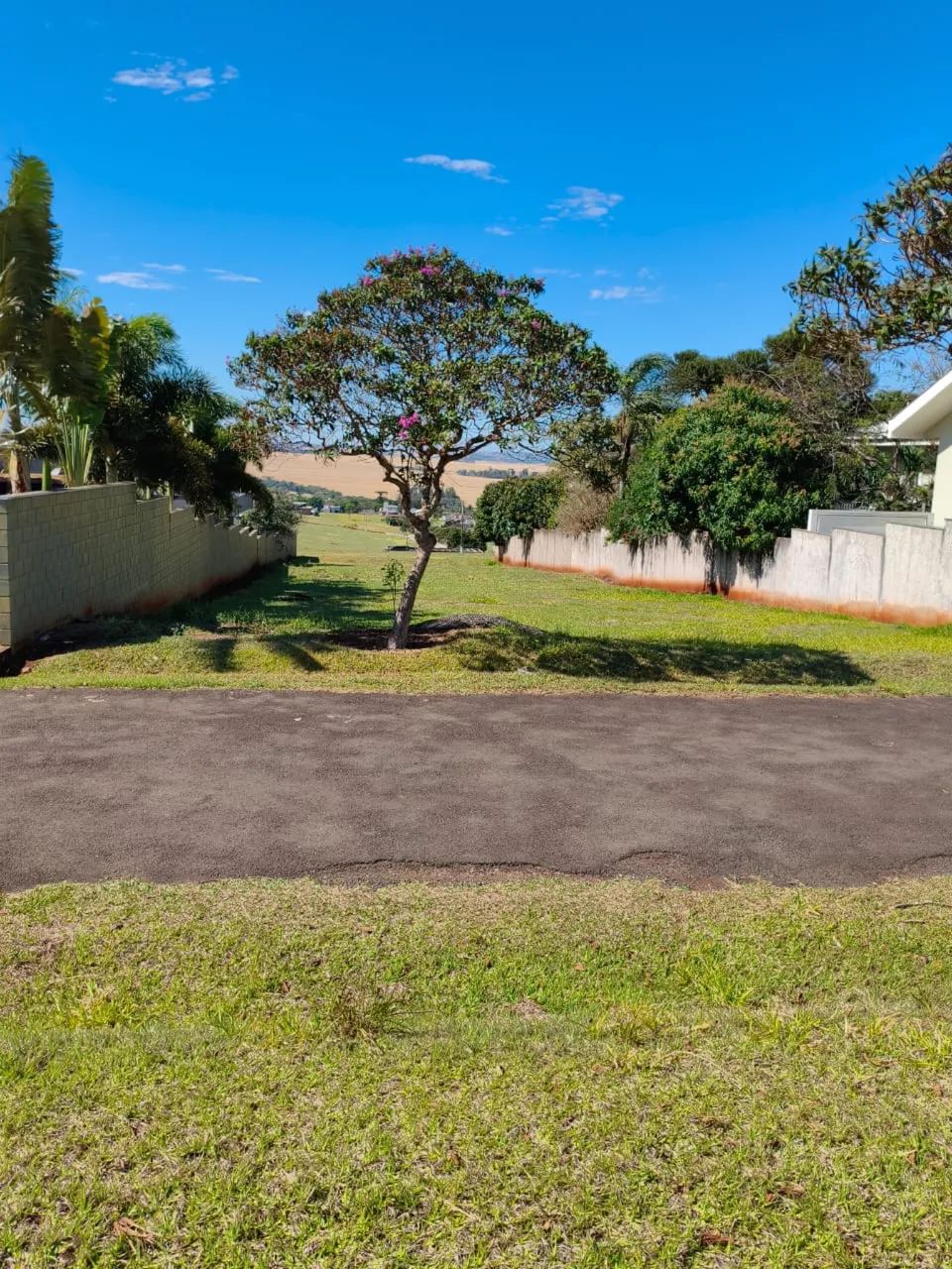 Foto - Arapongas - Residencial Araucárias