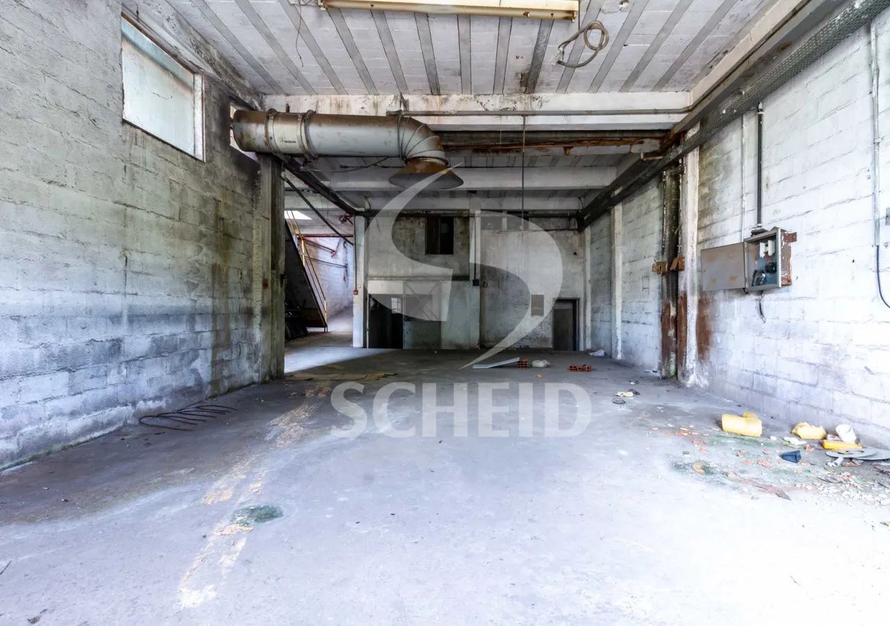 Imóvel Comercial à venda na Avenida Mascote - Foto 4