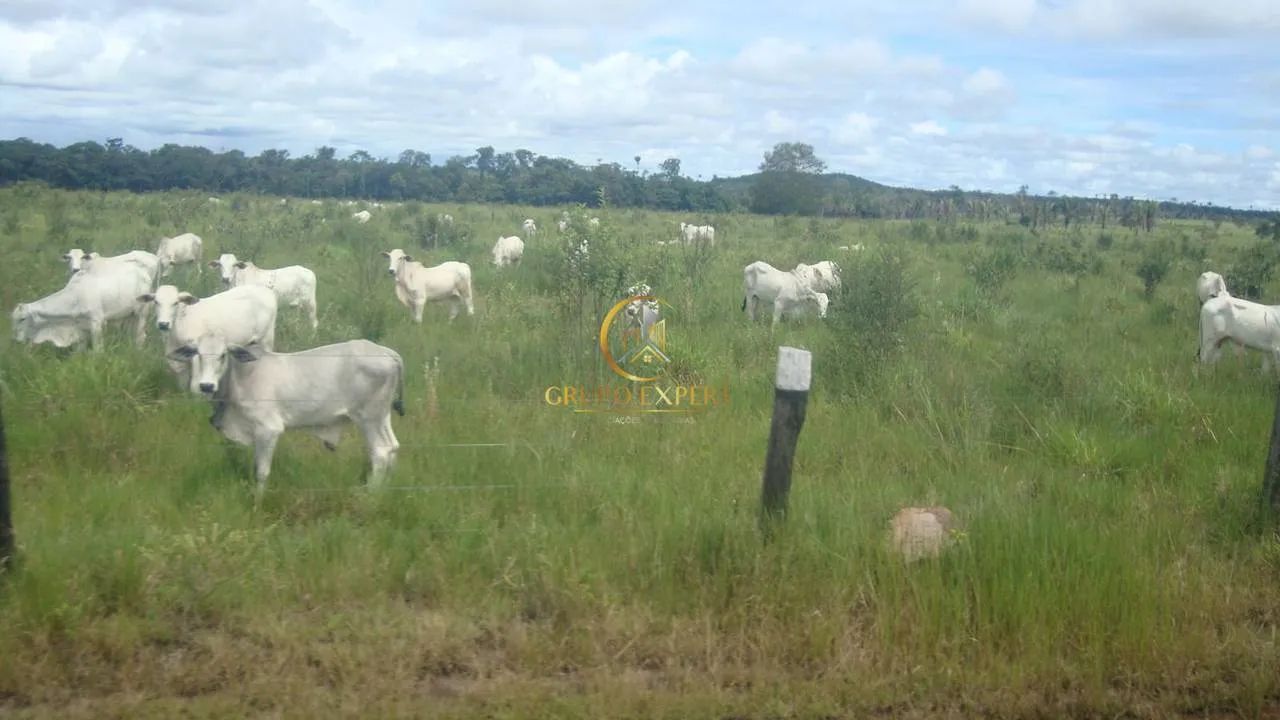 Fazenda à venda em Nova Canaã do Norte MT