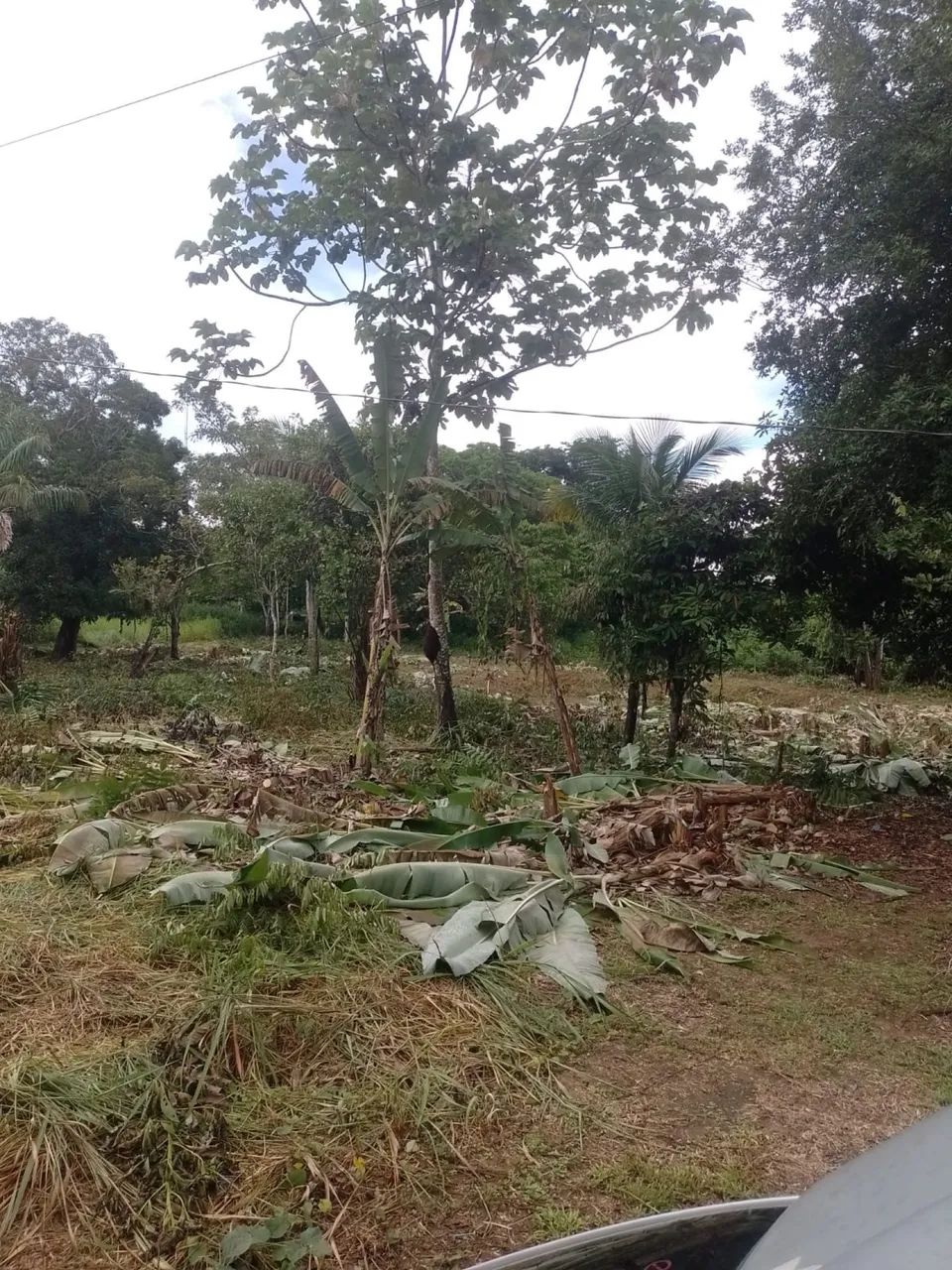 VENDE-SE TERRENO(CHÁCARA)  - Foto 2