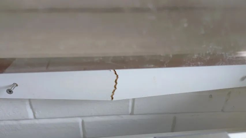 Sapateira avariada - Foto 2