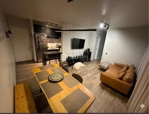 Apartamento em Capoeiras - Florianópolis, SC - Foto 5