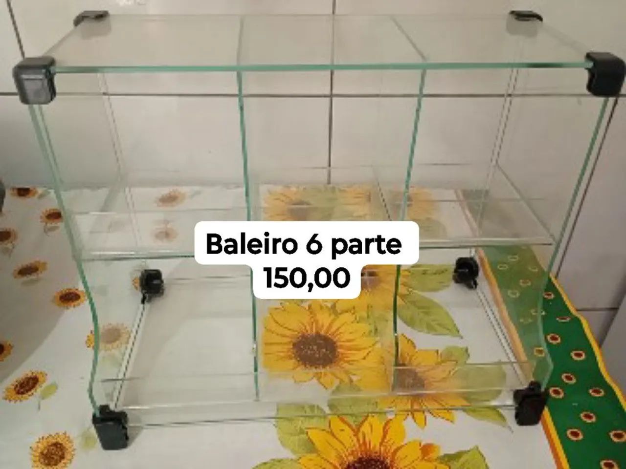 Baleiro 6 partes 