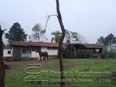 Terreno para comprar em São Bernardo do Campo - Bairro Cooperativa - Foto 5