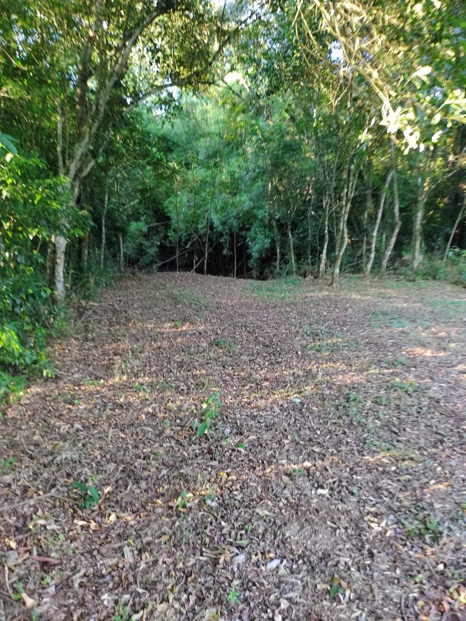 VENDE-SE CHÁCARA ITAPIRANGA - Foto 4