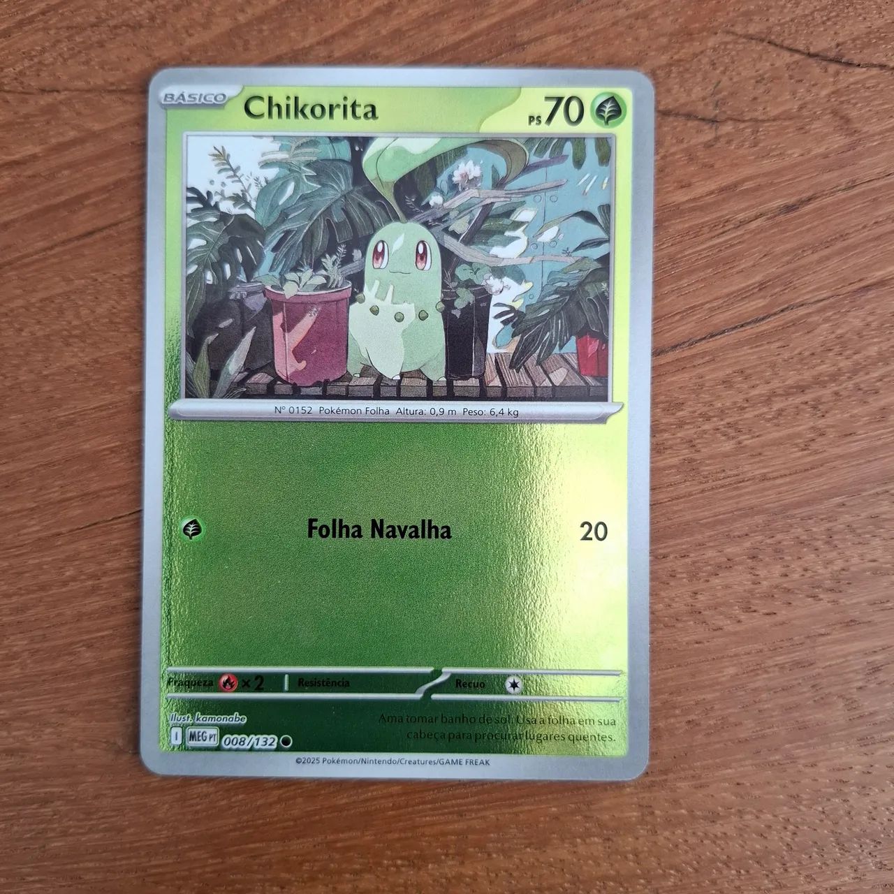 Carta Pokemon Chikorita