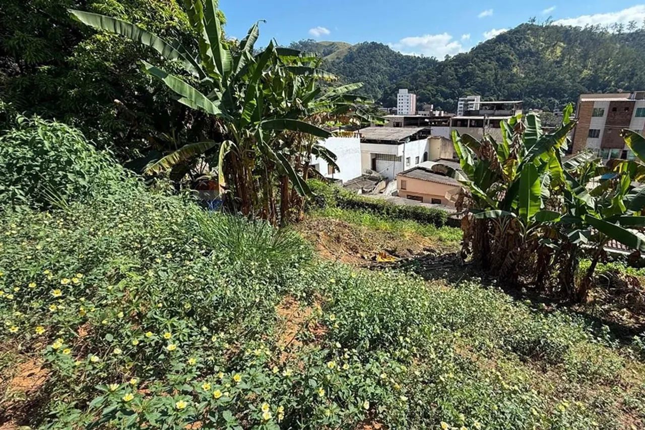 Terreno no Sudeste: Oportunidade Imperdível! - Foto 4
