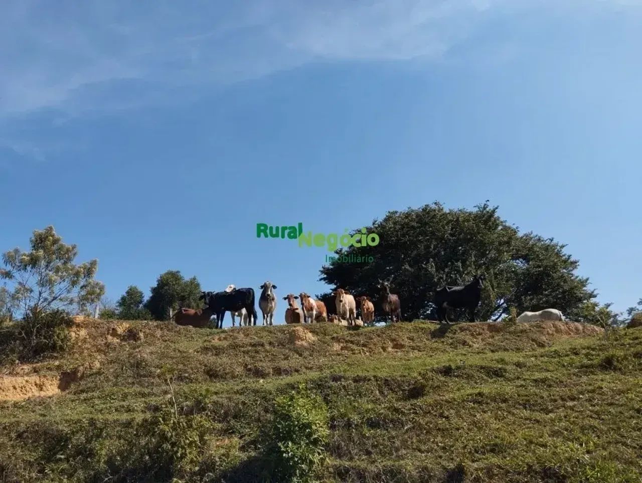 SÍTIO FORMADO PRÓXIMO A VIA DUTRA LORENA-SP - Foto 2