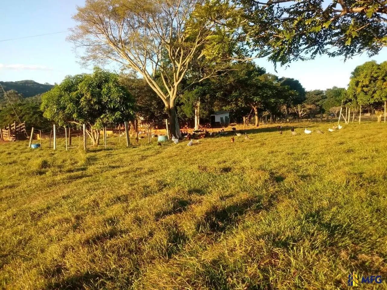 Sitio a Venda em Avaré SP - Foto 4