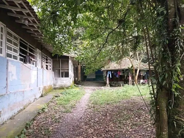 Chácara a venda preço pra vender rápido  - Foto 3