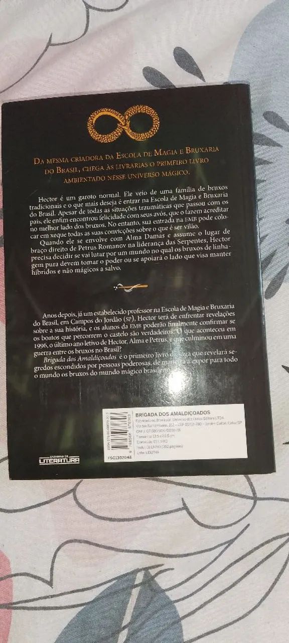 Livro Brigada dos Amaldiçoados  - Foto 2