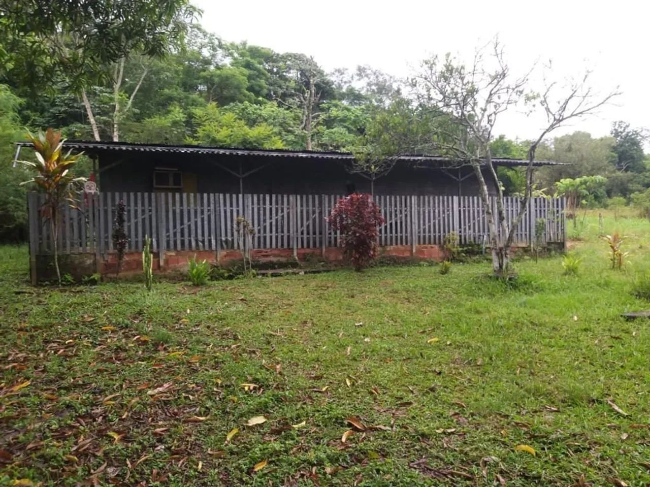Foto - Duque de Caxias - Jardim Primavera