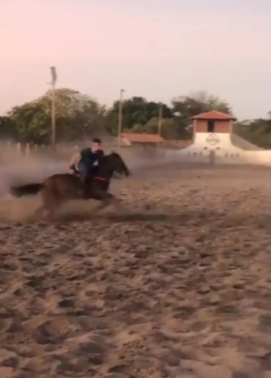 Cavalo de direita  - Foto 5