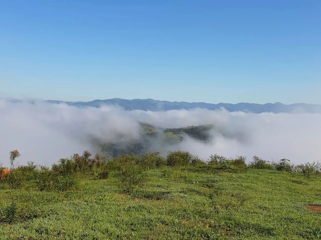 OPORTUNIDADE PARA INVESTIDORES E AMANTES DA NATUREZA - Foto 3