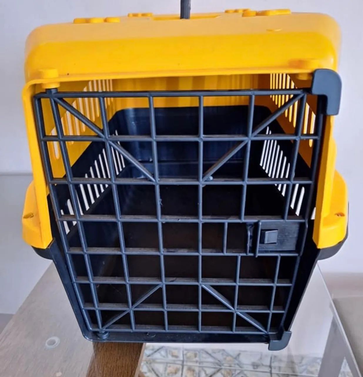 Transporte para seu Pet  - Foto 3