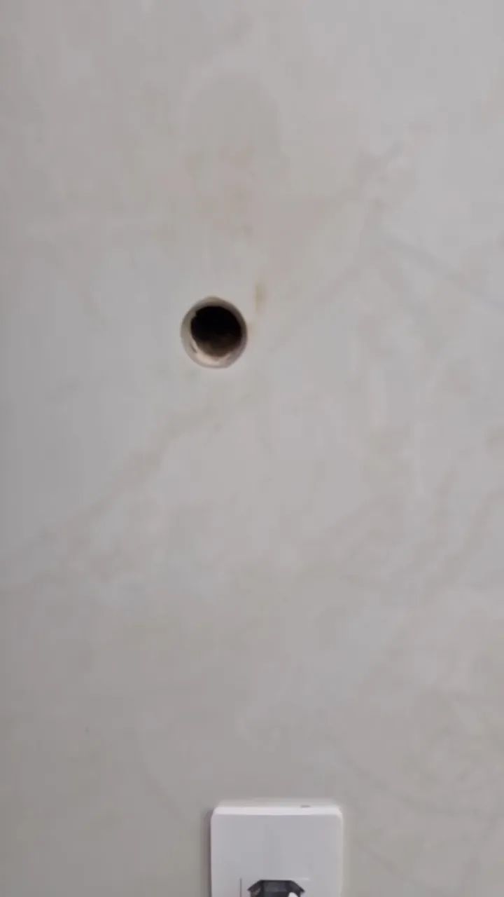 Marido de alugel - Foto 3