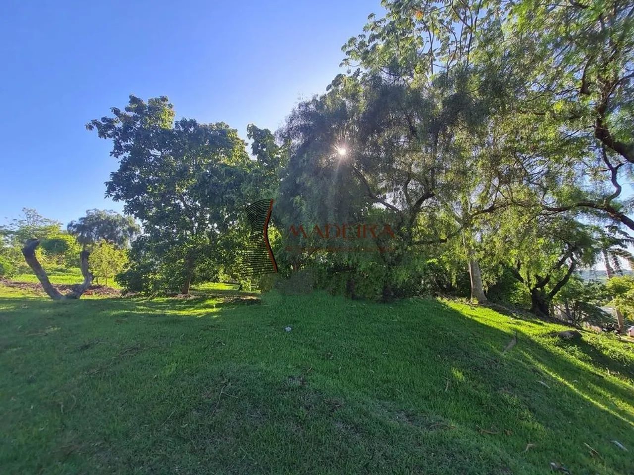 Terreno à Venda em Parque Alvamar, Sarandi - PR - Foto 2