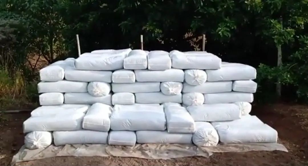 SILAGEM DE CAPIM ELEFANTE CAPIAÇU DISPONÍVEL PRA VENDA 