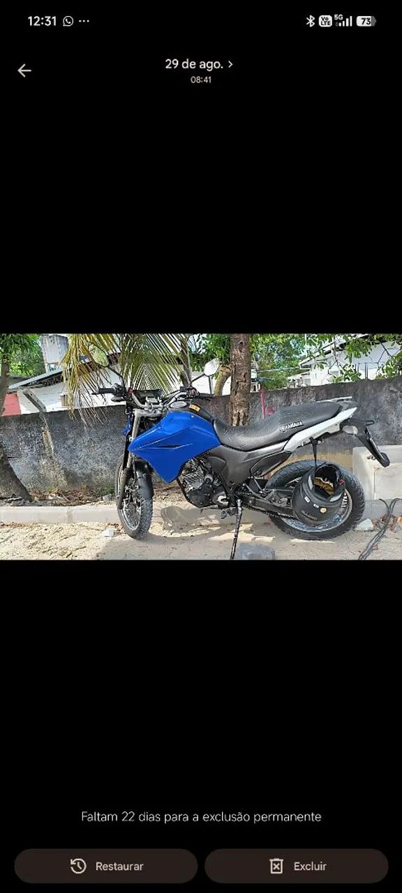 Vendo Lander 2022