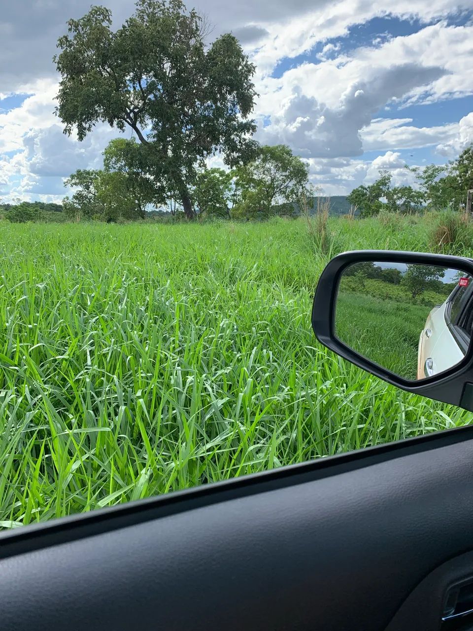Fazenda Barrolandia  - Foto 3