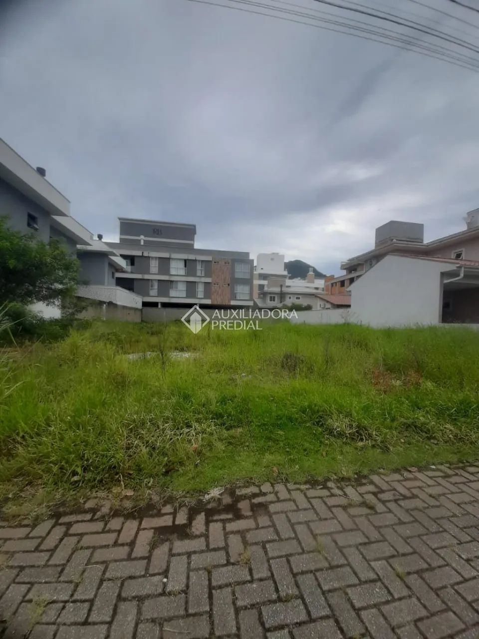 Terreno à venda em Ribeirão da Ilha - Foto 4