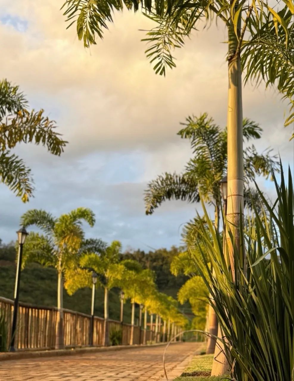 Lote de 375 m² fundos com vista para lagoa , condomínio - Itaguaçu/ES - Foto 9