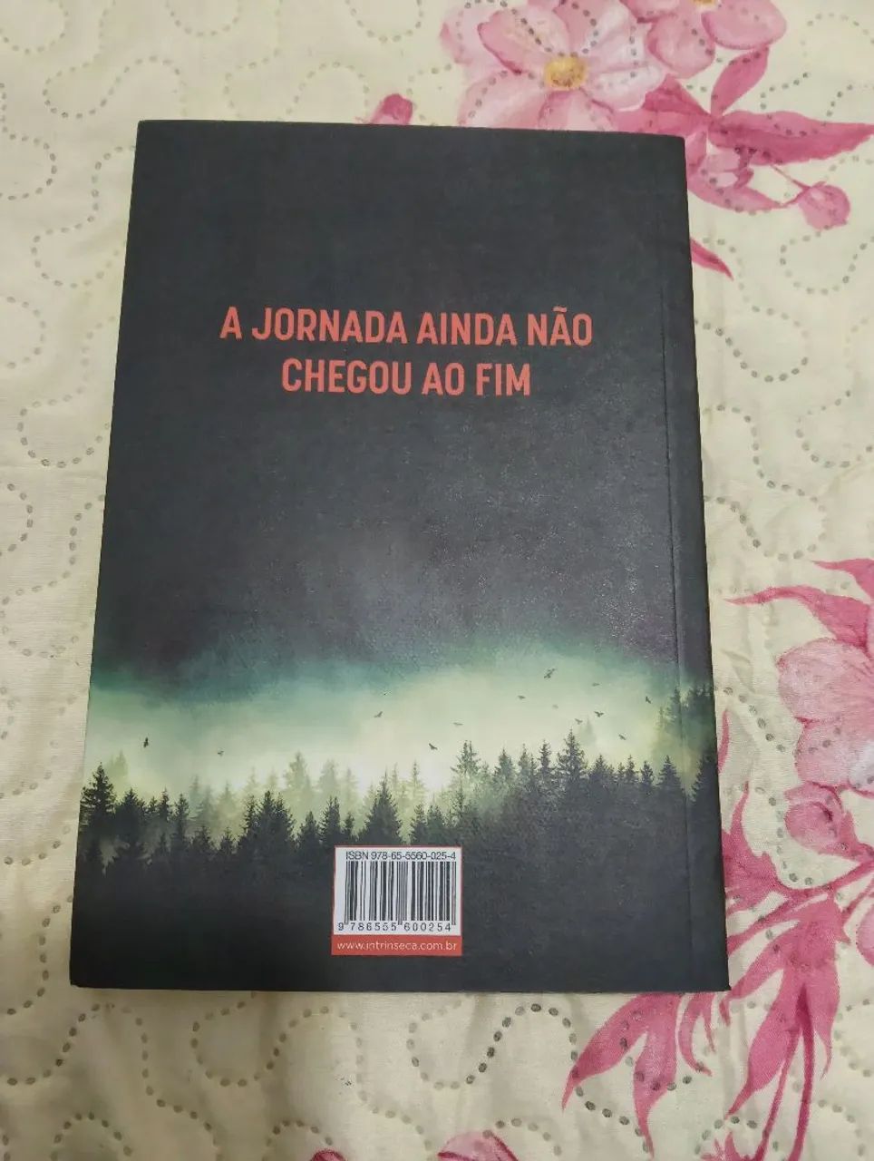Malorie / Sequência de Caixa de Pássaros Josh Malerman - Foto 2