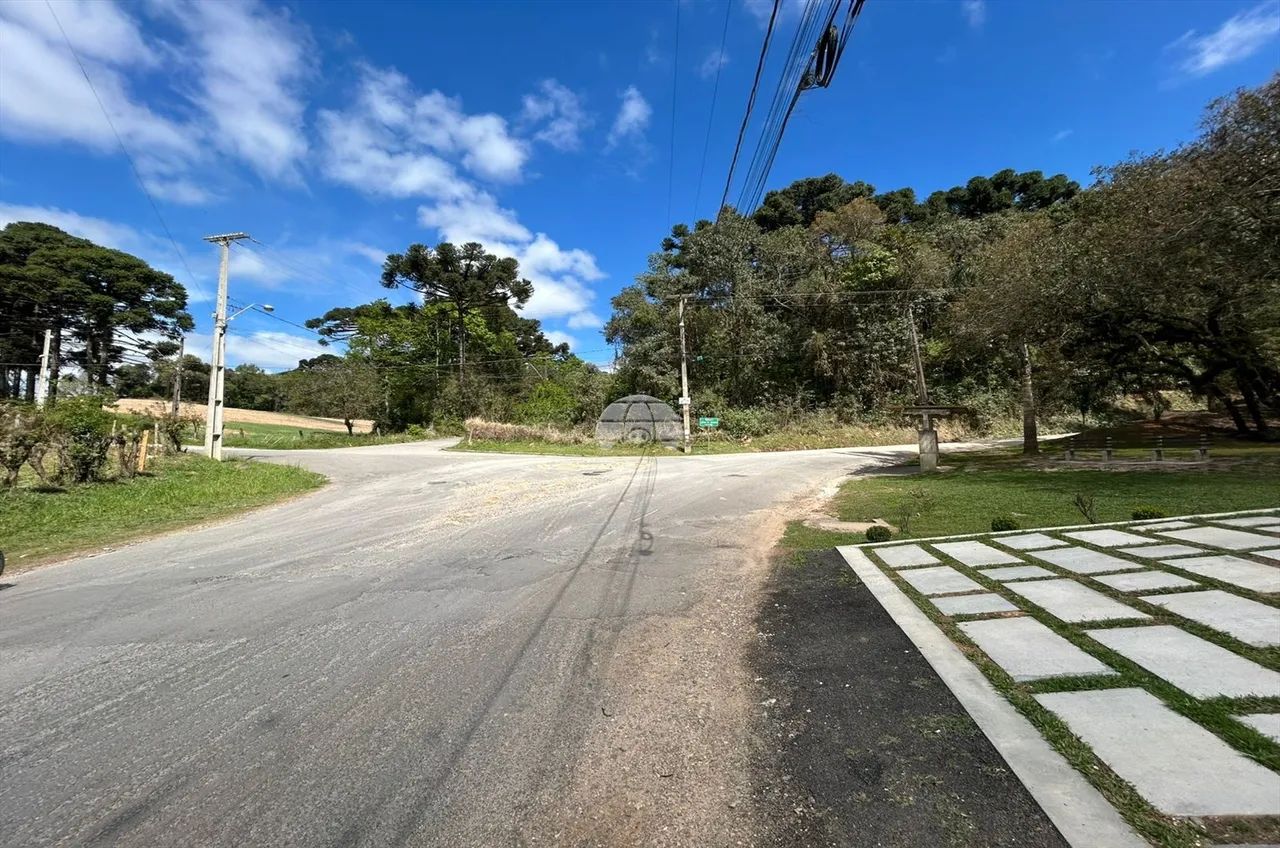 Vendas Terreno Campo Largo PR - Foto 4