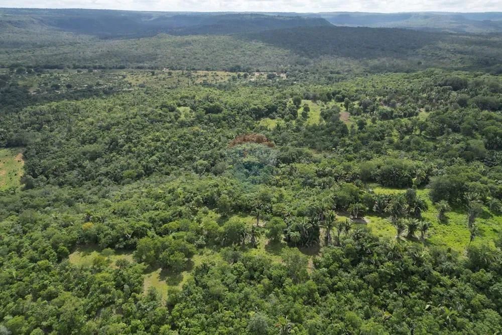Propriedade Rural a Venda - Babaçulândia Tocantins - Foto 4
