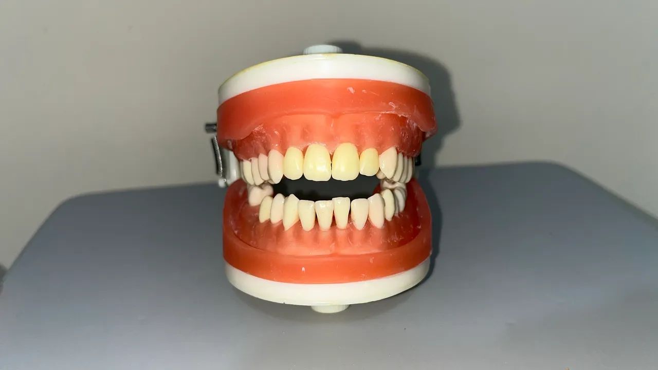 Manequim de Dentística PRONEW - Completo