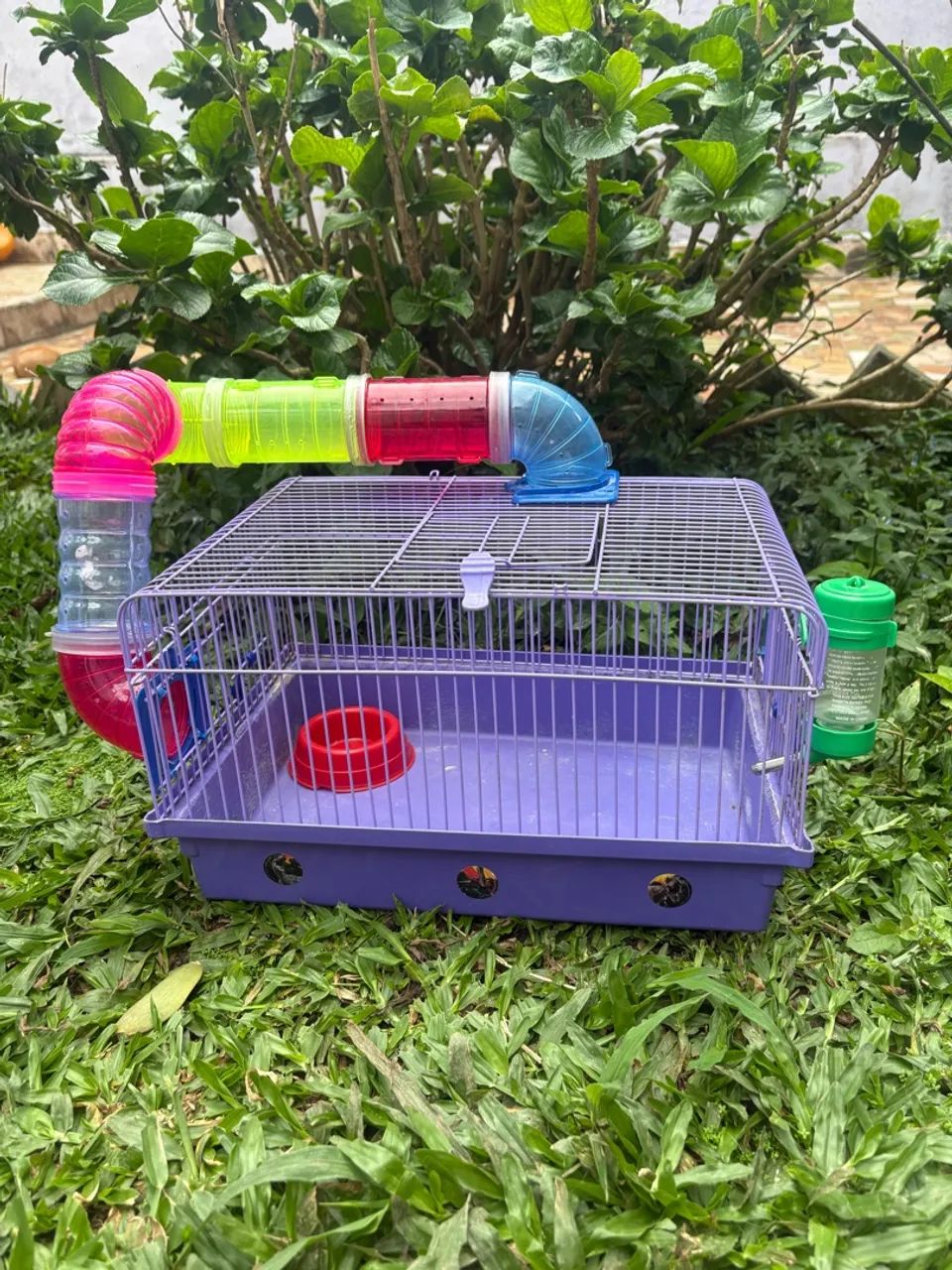 Gaiola para hamster completa 