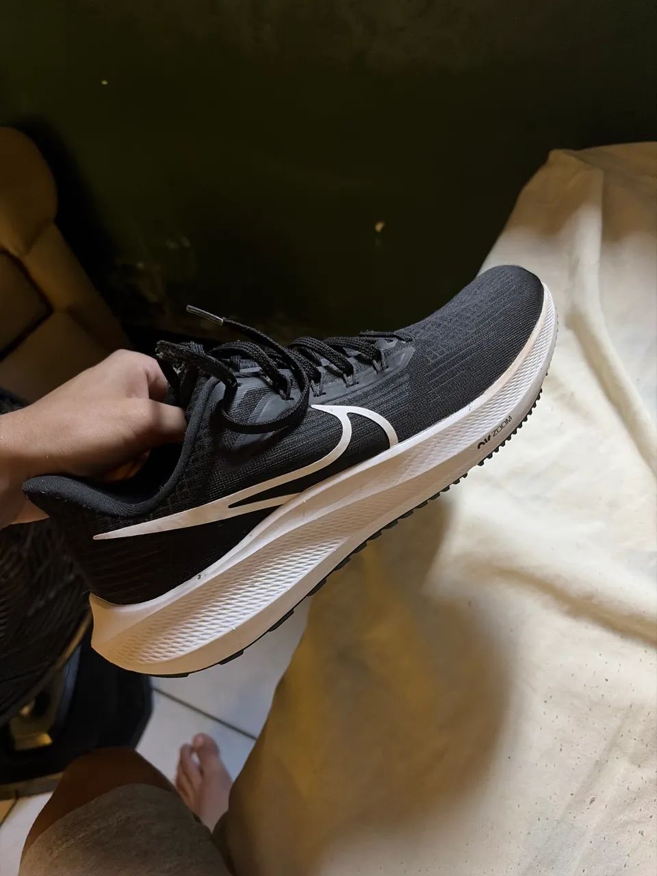 Nike pegasus 39