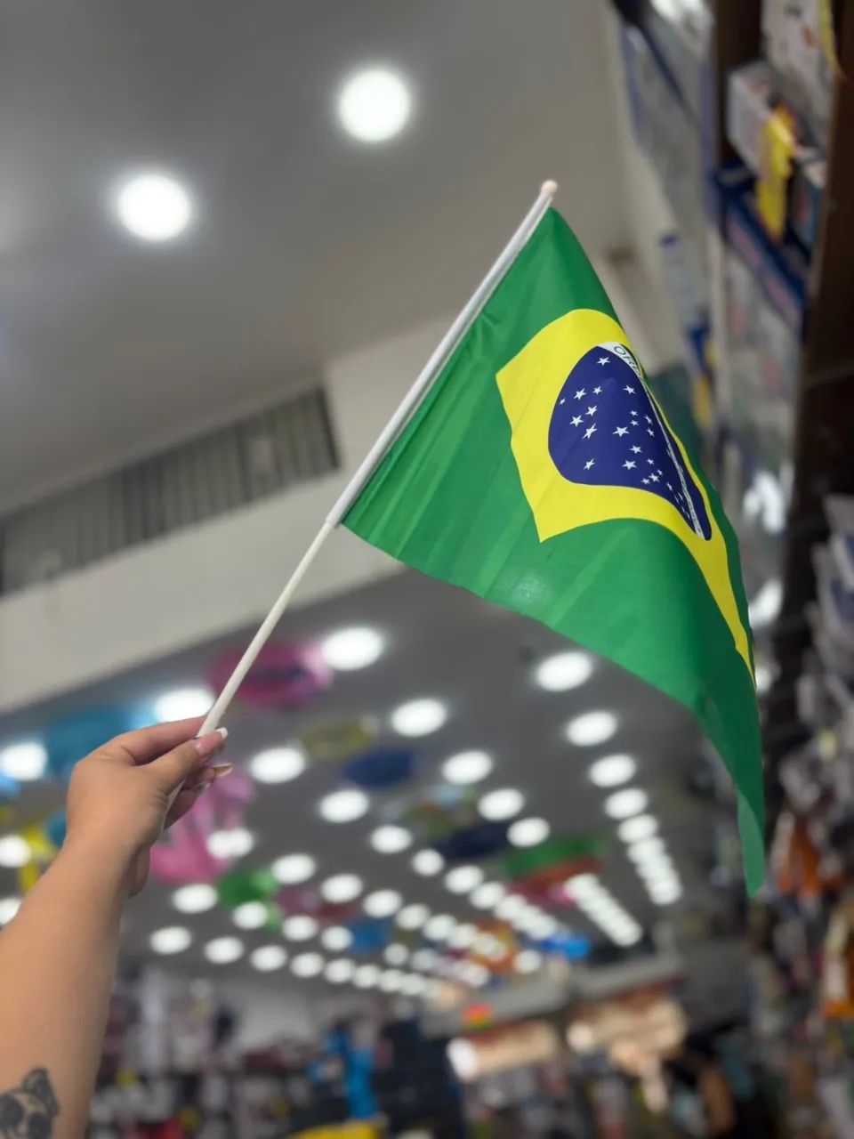 Bandeira Do Brasil De Mao 